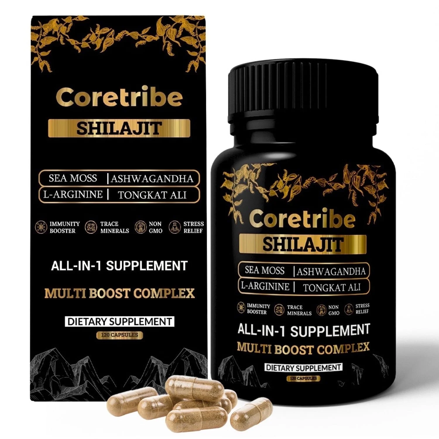 shilajit capsules